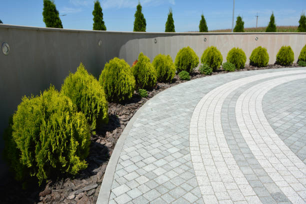 Best Residential Paver Driveway  in Markesan, WI